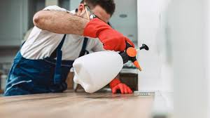 Real Estate Pest Inspections in Obion, TN